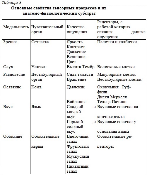 Реферат: Анатомо-физиологическое представительство в мозге психических процессов и состояний человека